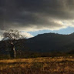 Meet your Posher, Abi